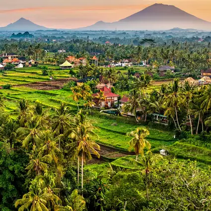 Mount Rice Must Do Fun Activities For Every Traveler Adventure Guide