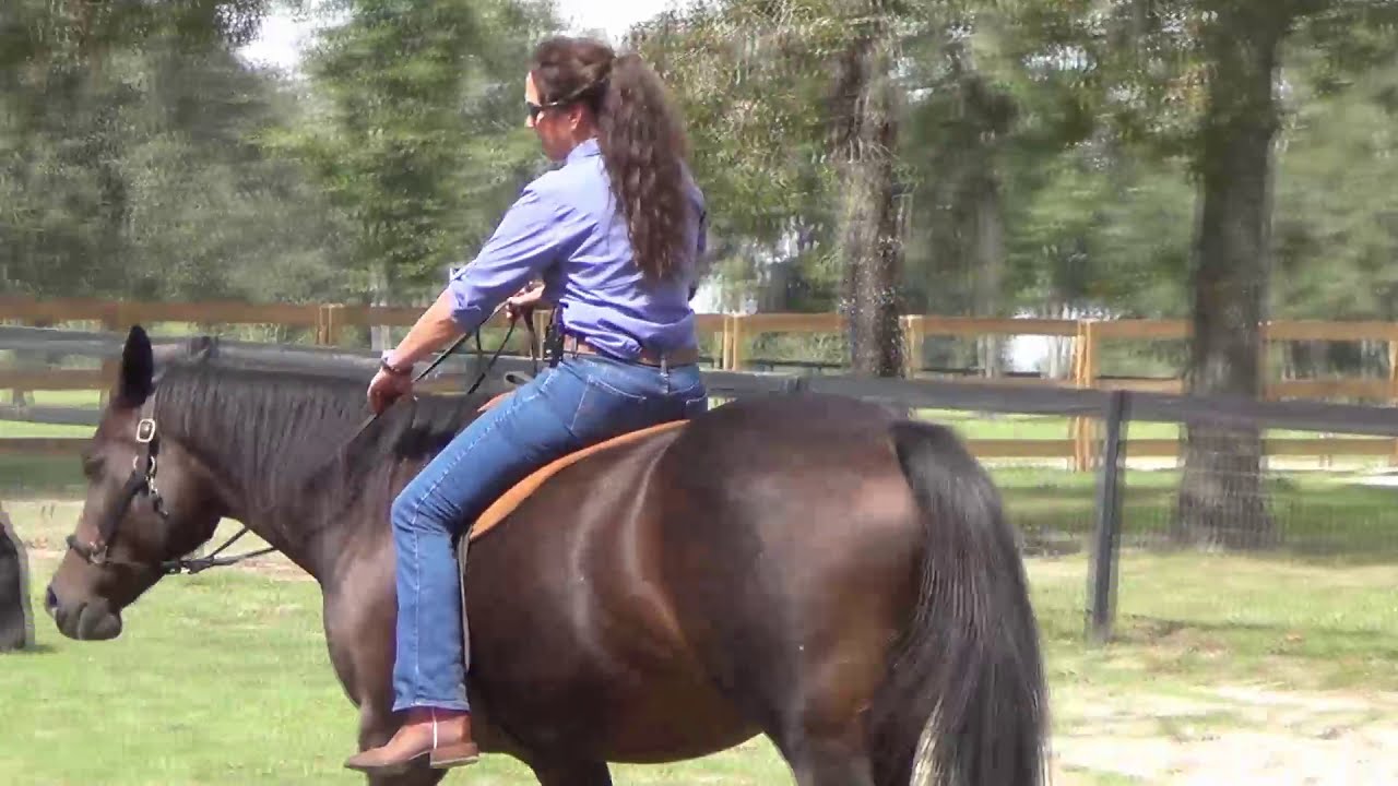 Runaway Horse How to Stop? (5 Emergency Control Tips for Beginners)