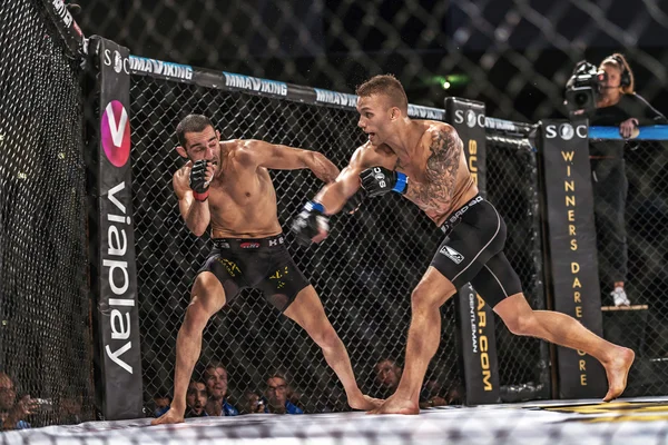 Free MMA fighter images no copyright? Websites with legal fight pictures