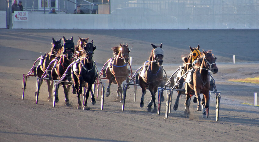 Dover Downs Results Free Access: Top Sites Sharing Race Info Now!
