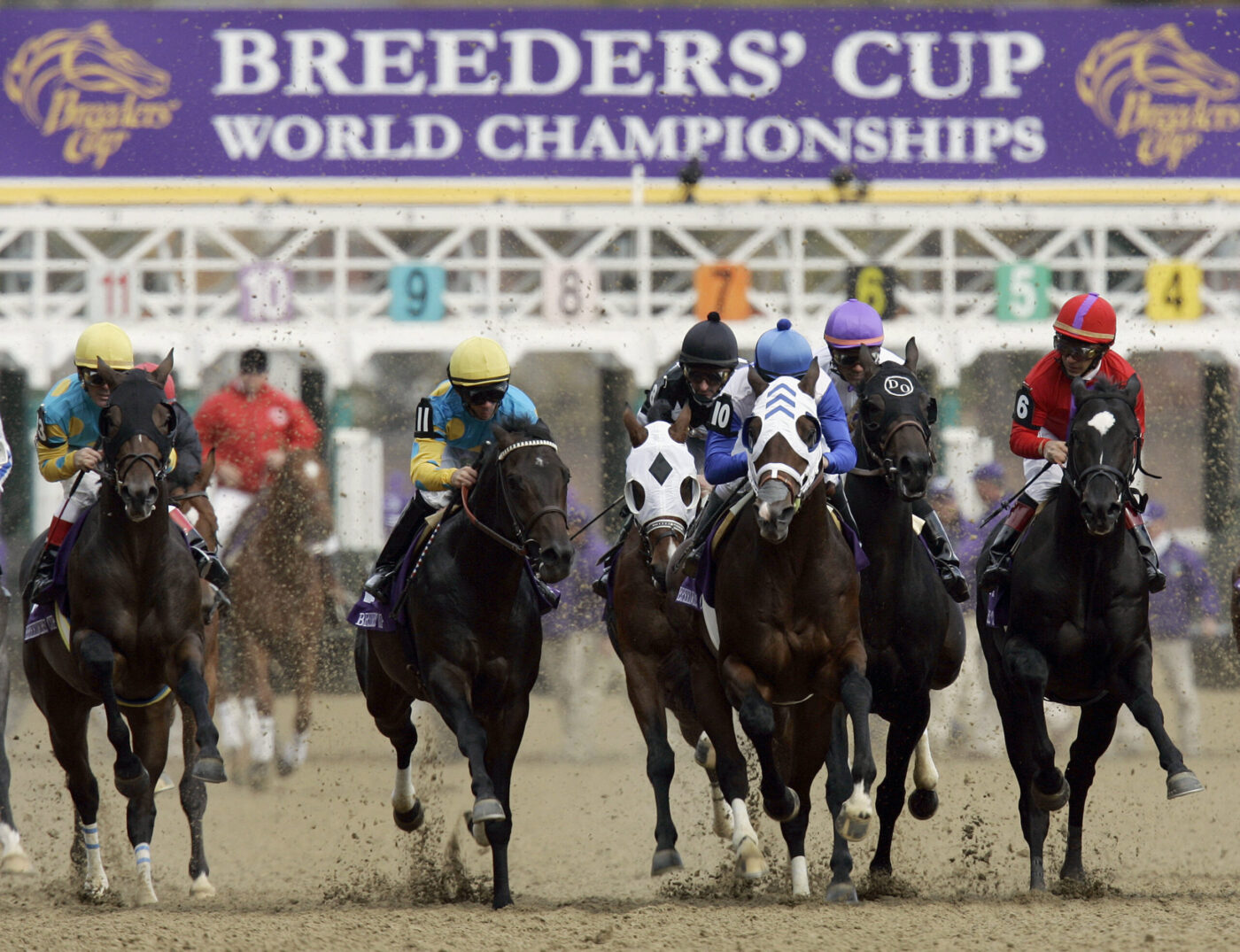 Where Is The Breeders Cup Run Held? Easy Guide To Watch It Live