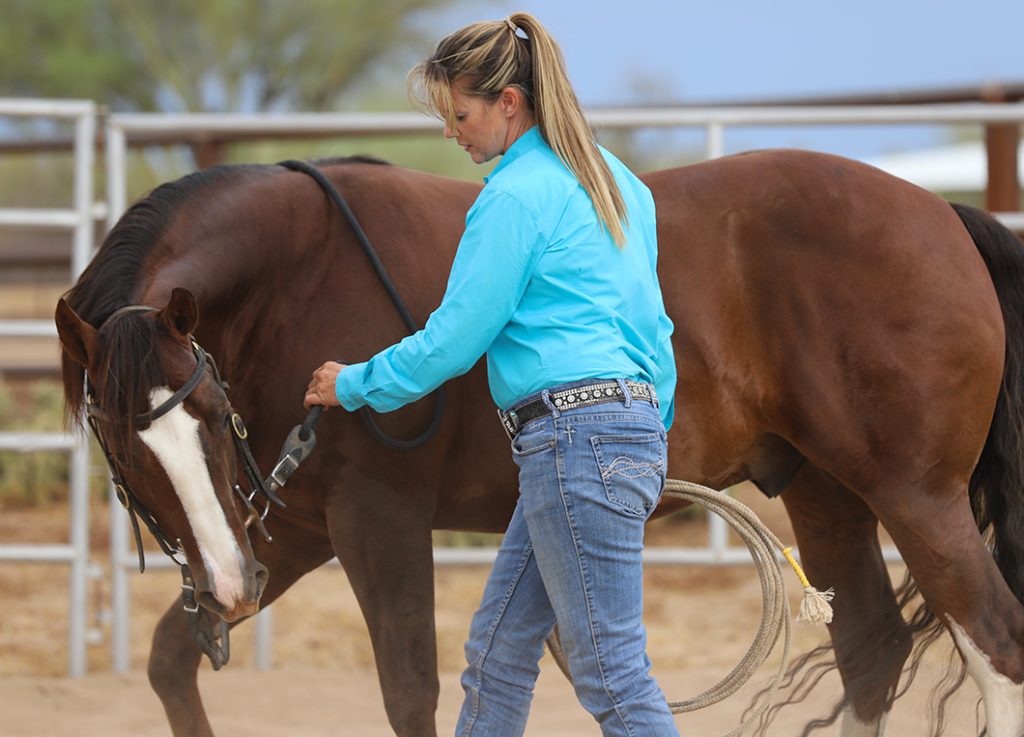 Horse Talker Training Guide | Learn Simple Methods for Horse Talk