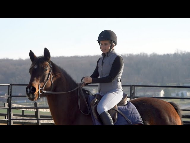 Runaway Horse How to Stop? (5 Emergency Control Tips for Beginners)