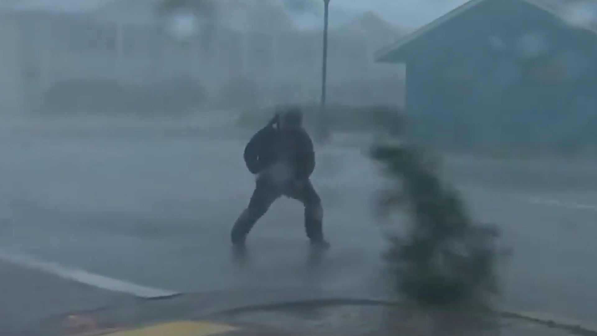 Hilarious Hurricane Videos Why People Film Storms