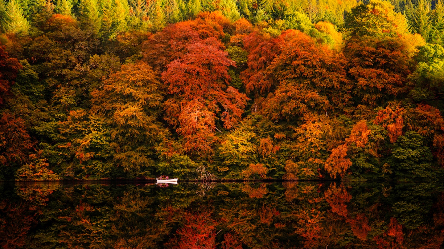 Where To Find Stunning Autumn Illustrations Top 5 Sources You Need