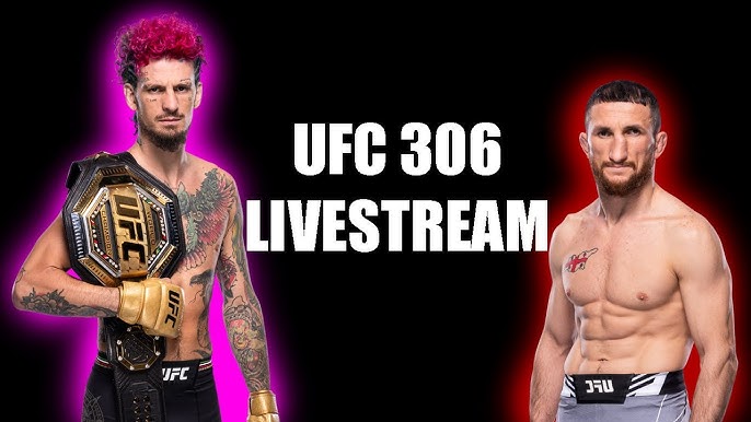 Want UFC 306 Full Video Free Stream? Try These Options Now!