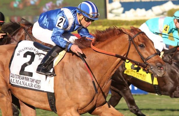 Best Ways to Get Gulfstream Park Horse Racing Results Quickly This Week