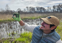 TS Oscar How Does it Work Discover the Insider Process Today!