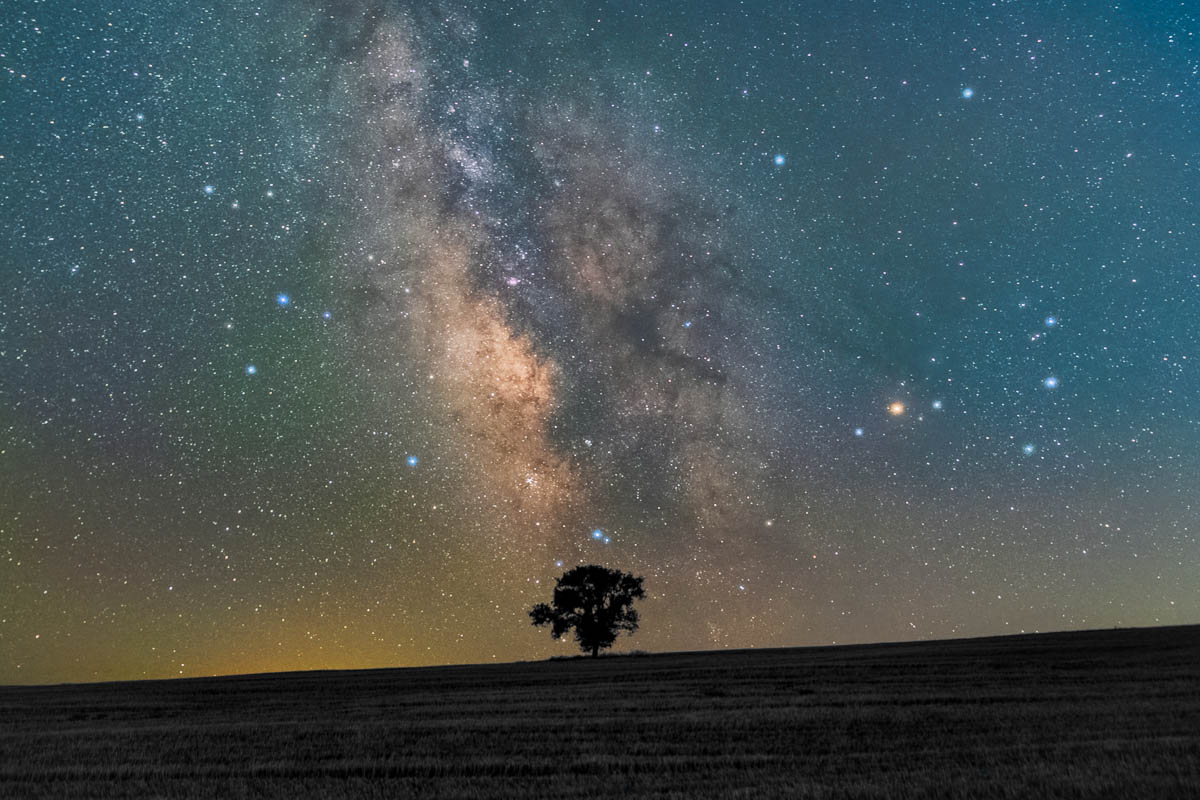 Taking photos at lone oaks easy tips for great pictures