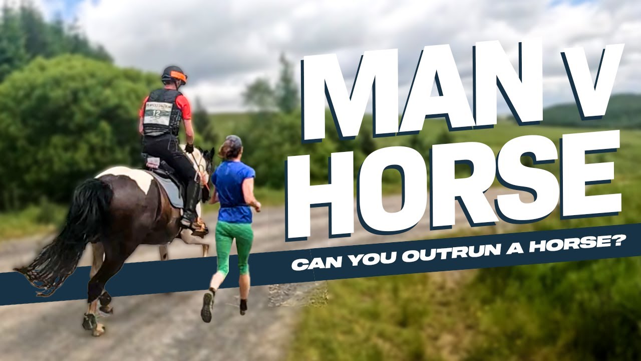 Can You Win 1 Man One Horse Fast Test These Speed Tricks