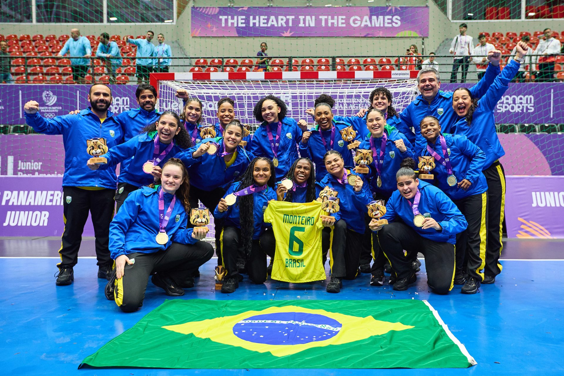 Brazil handball team best players? (Meet the top stars and careers)
