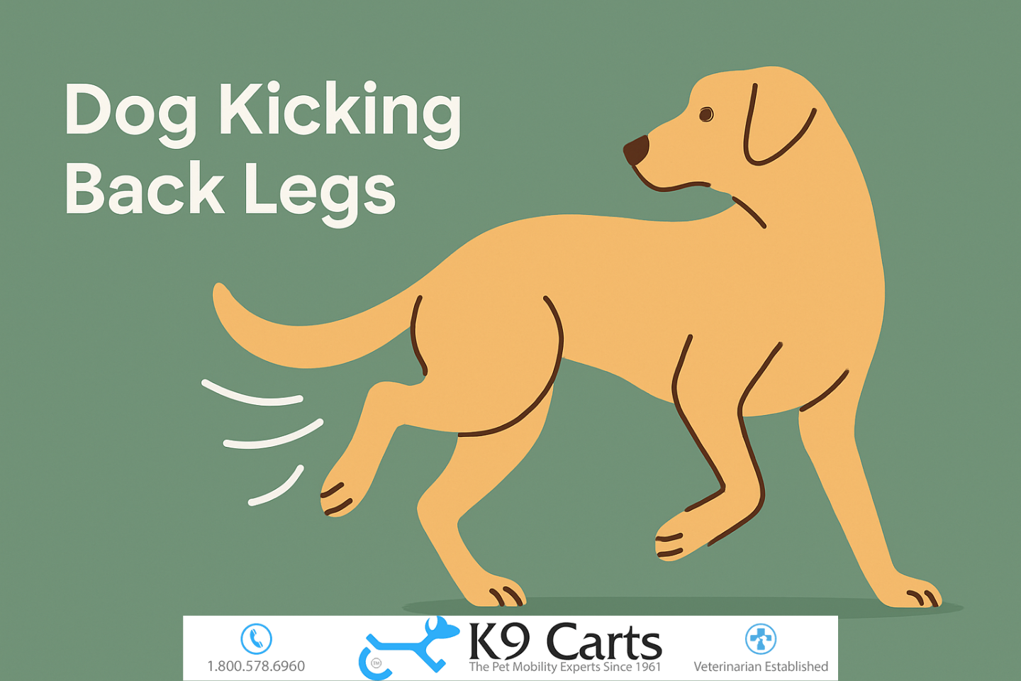 Why does my dog kick his back legs randomly? Find out expert tips for preventing this issue!