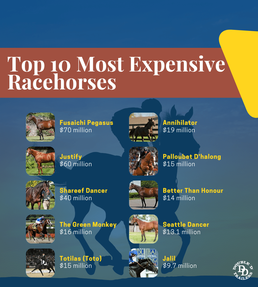 how much for a thoroughbred horse and how to save money