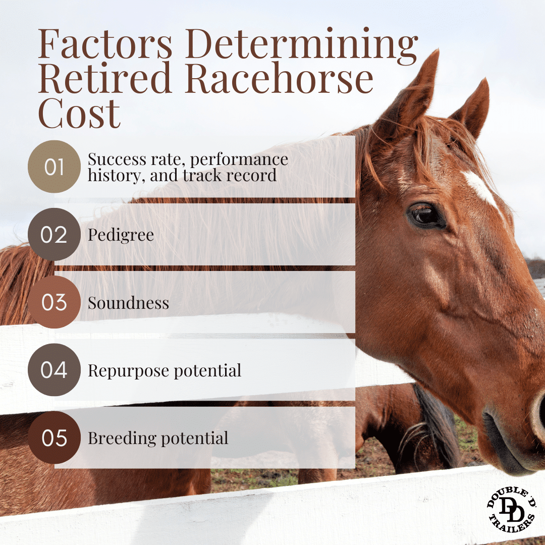 how much for a thoroughbred horse and how to save money