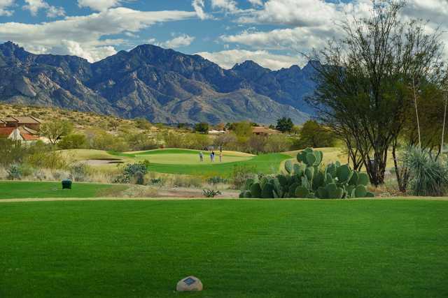 Mountain View Golf Course Tucson vs Others: Worth Booking Today?