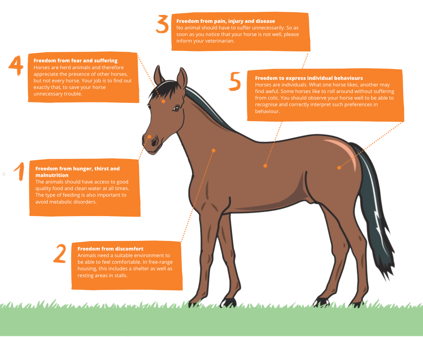 Feeling On a High Horse? Why It Happens & How to Stop!