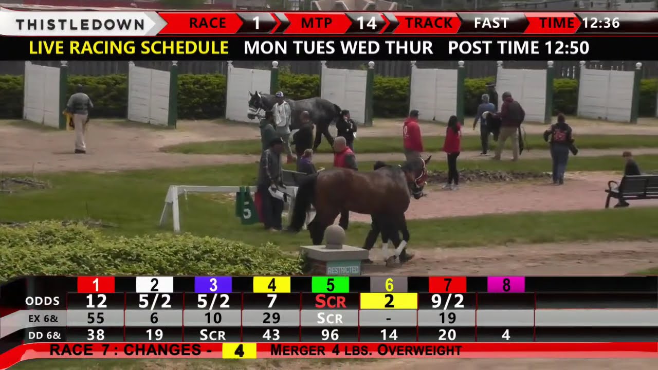 Thistledown Live Stream Tips Catch Exciting Races from Home Now